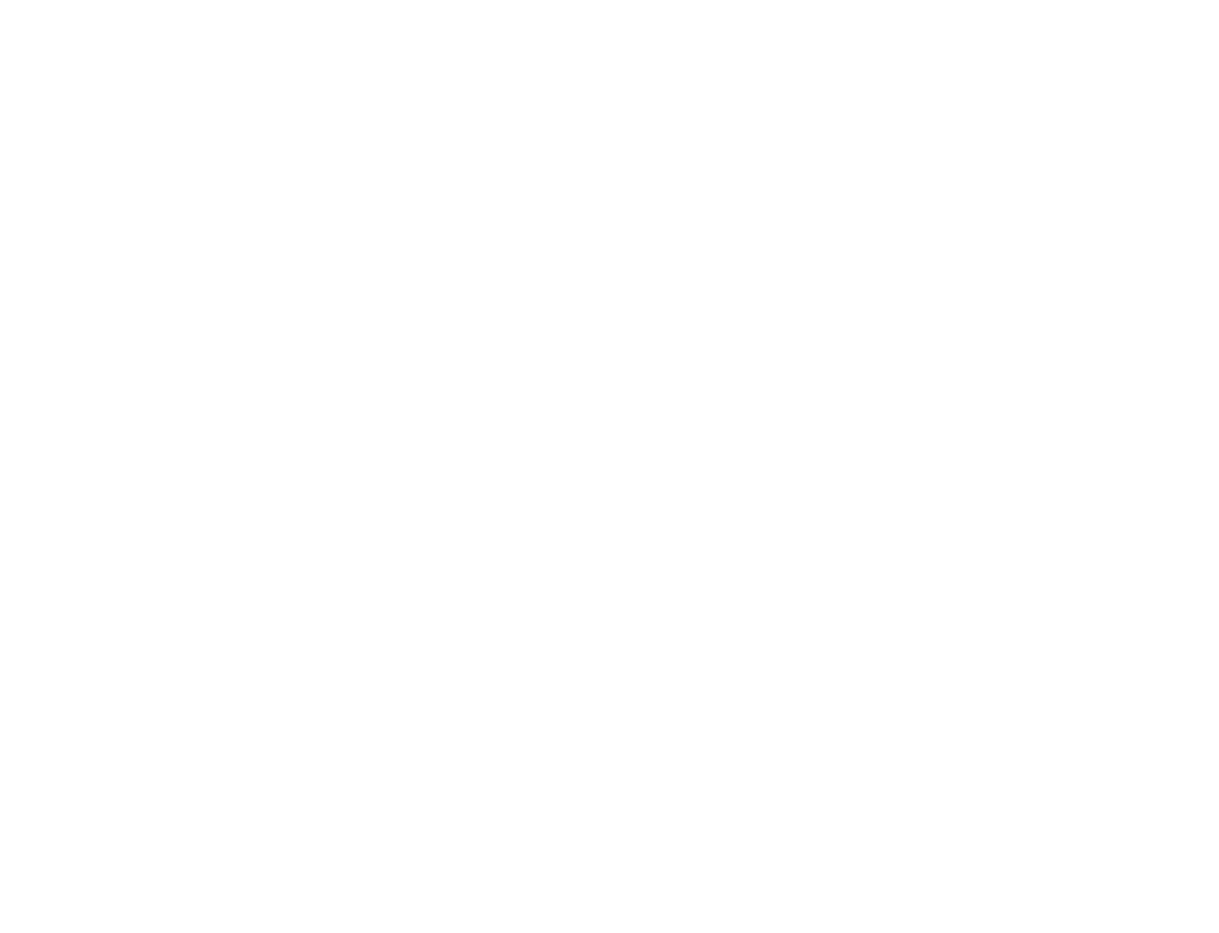 Scheschuk INC logo